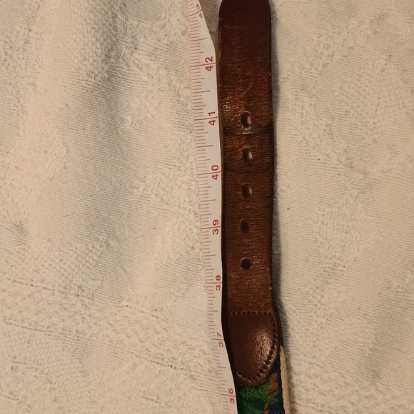 Parrot Rain forest belt 38 To 40 - Picture 5 of 5